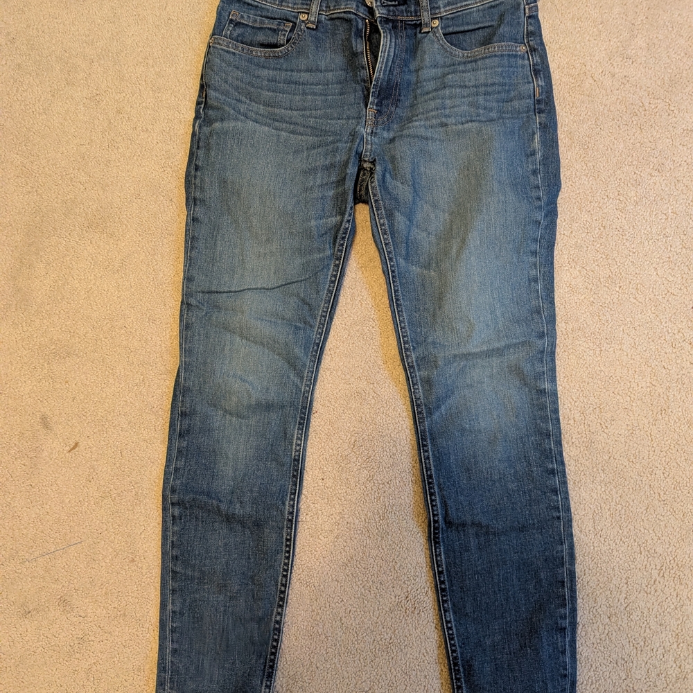 Everlane Skinny Jeans in Classic Blue